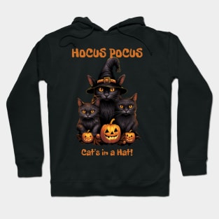 Hocus Pocus My Black Cat's in a Halloween Hat Hoodie